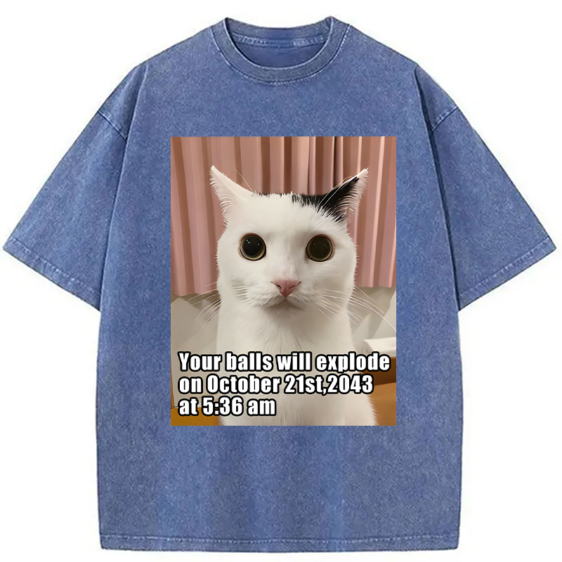 Modecanvas Your Balls Will Explode Funny Cat Meme DTG Printing Washed T-Shirt