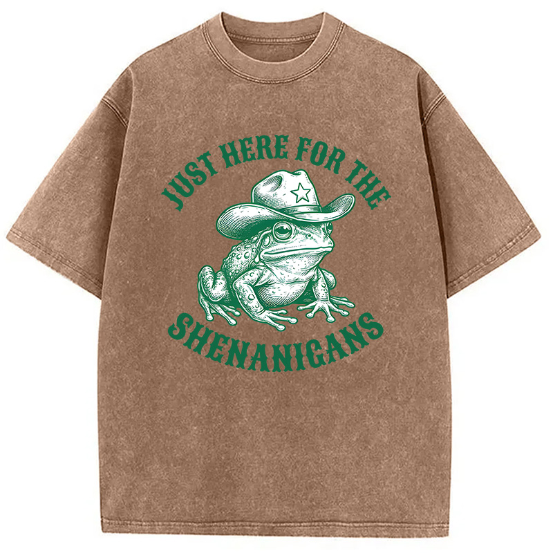 Modecanvas Just Here for the Shenanigans Frog DTG Printing Washed T-Shirt