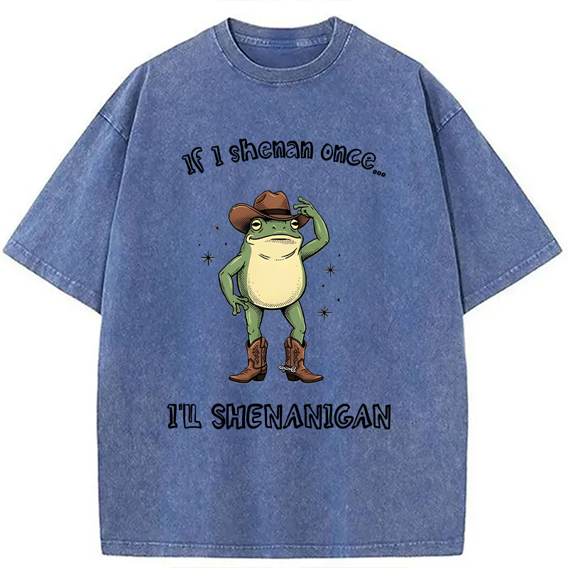 Modecanvas I ll Shenanigan Frog DTG Printing Washed T-Shirt