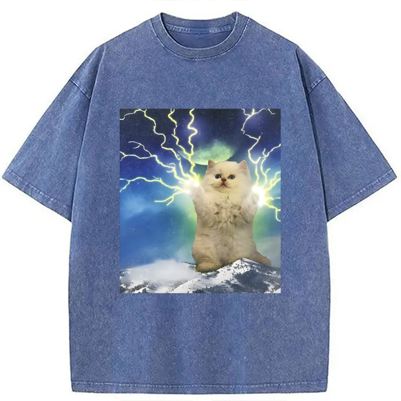 Modecanvas Lightning Cat DTG Printing Washed T-Shirt