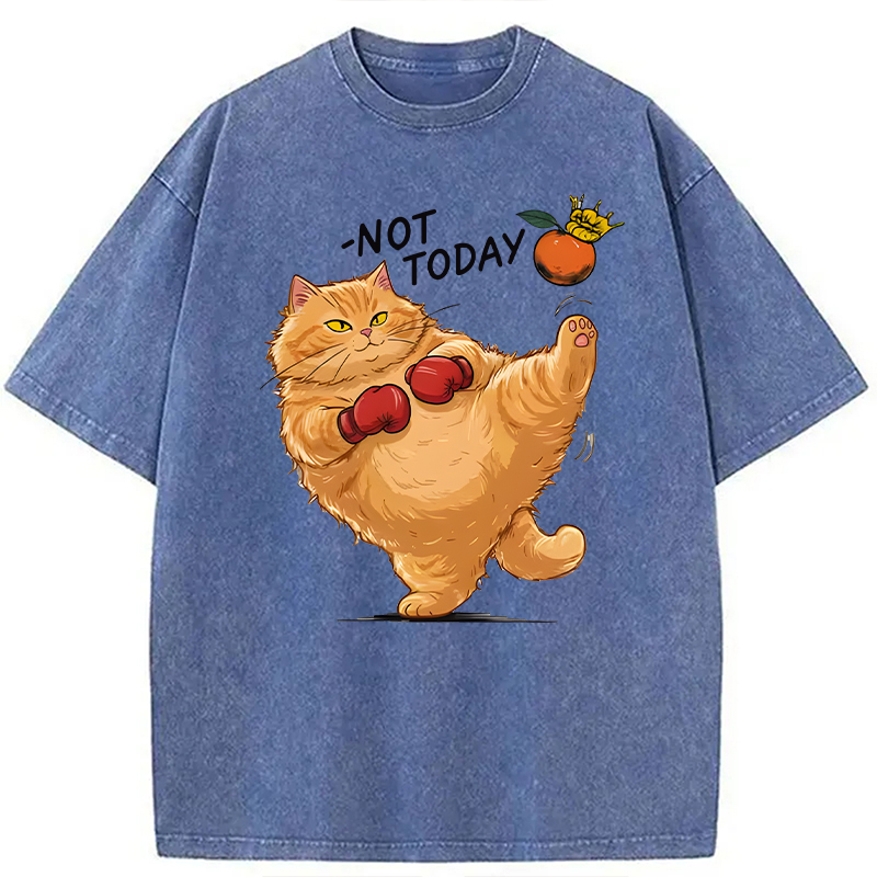 Modecanvas Boxing Cat DTG Printing Washed T-Shirt
