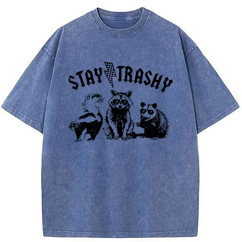 Modecanvas Stay Trashy Funny Raccoon DTG Printing Washed T-Shirt