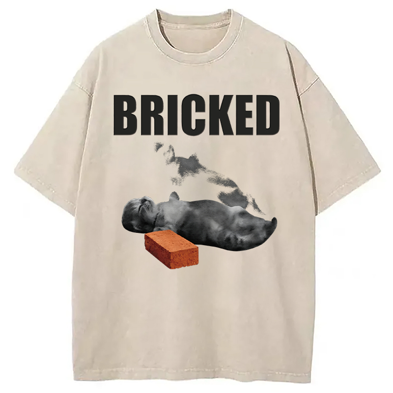 Modecanvas Bricked Funny Cat Knocked Out DTG Printing Washed T-Shirt