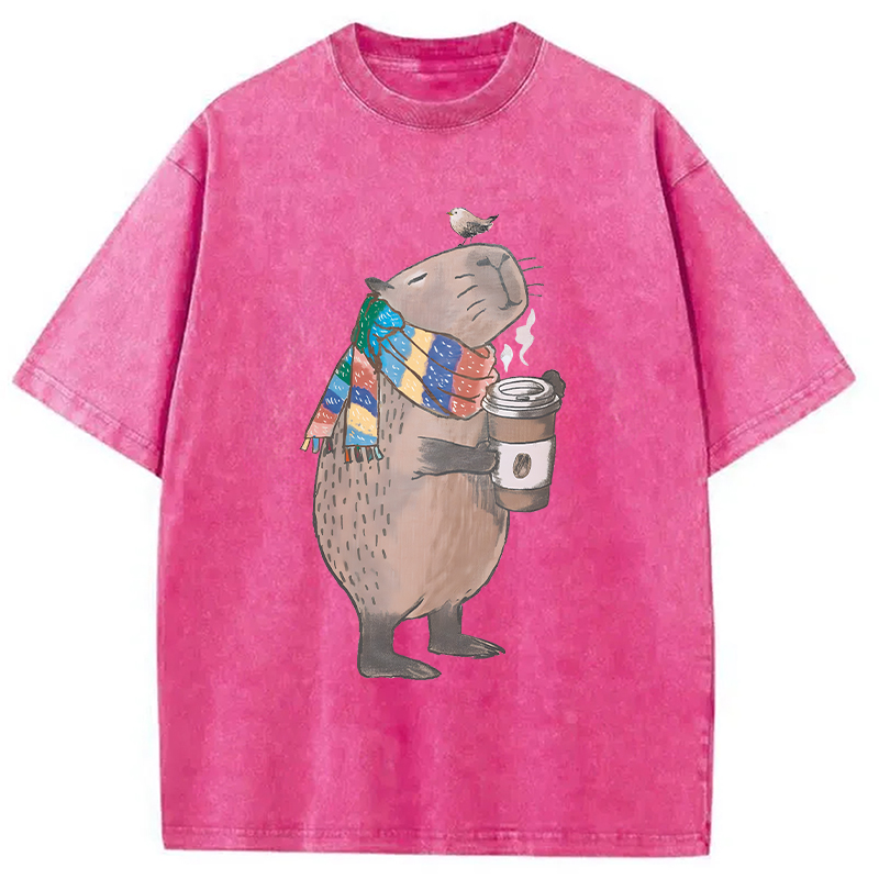 Modecanvas Coffeebara DTG Printing Washed T-Shirt