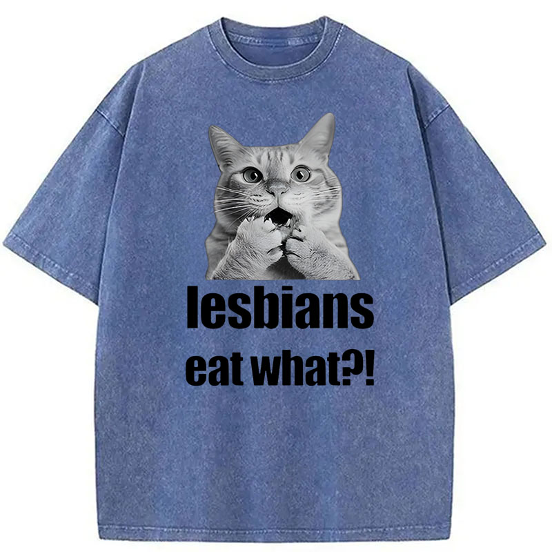 Modecanvas Lesbians Eat What? Funny Gay Joke DTG Printing Washed T-Shirt