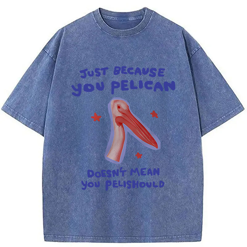 Modecanvas Just Because You Pelican DTG Printing Washed T-Shirt