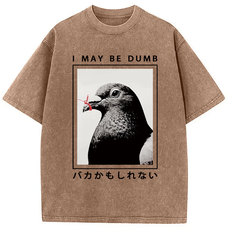 Modecanvas I May Be Dumb Funny Washed T-Shirt-modecanvas