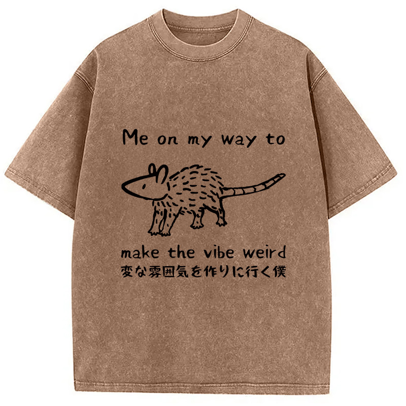 Modecanvas Making The Vibe Weird Washed T-Shirt