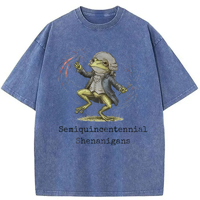 Modecanvas Funny Frog Semiquincentennial DTG Printing Washed T-Shirt