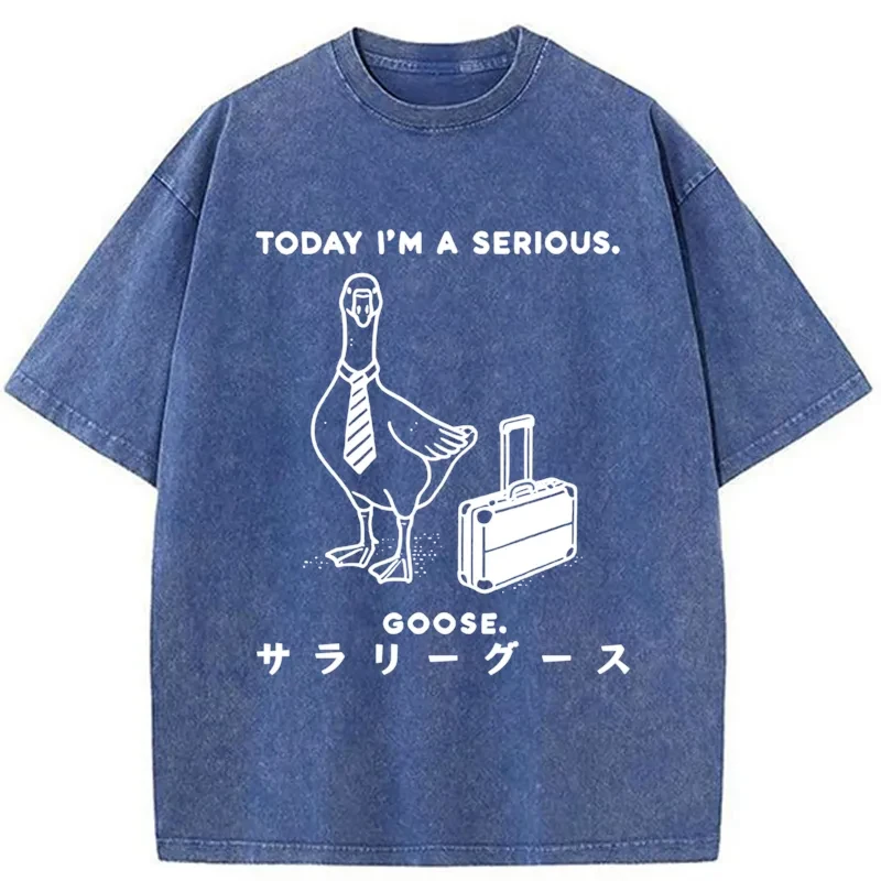 Modecanvas Hard Working Goose Washed T-Shirt