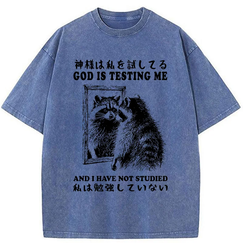 Modecanvas Raccoon Not Studied Washed T-Shirt