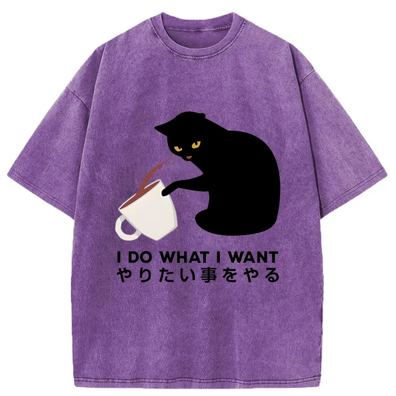 Modecanvas Tsundere Cat Funny Washed T-Shirt