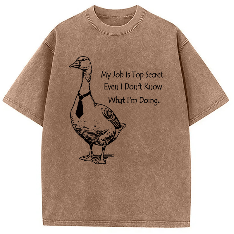 Modecanvas Serious Goose Funny Washed T-Shirt