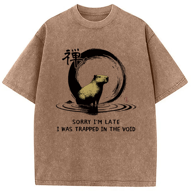Modecanvas Zen Capybara Was Trapped In The Void Washed T-Shirt