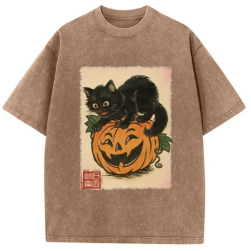 Modecanvas Black Cat And Pumpkin Washed T-Shirt