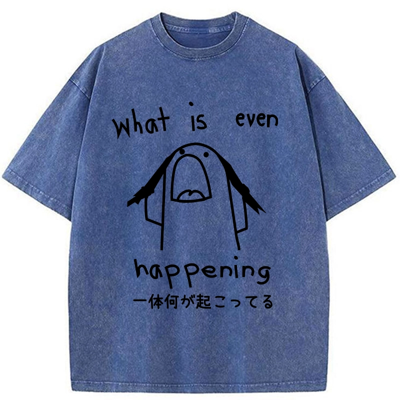 Modecanvas What Is Even Happening Washed T-Shirt-modecanvas