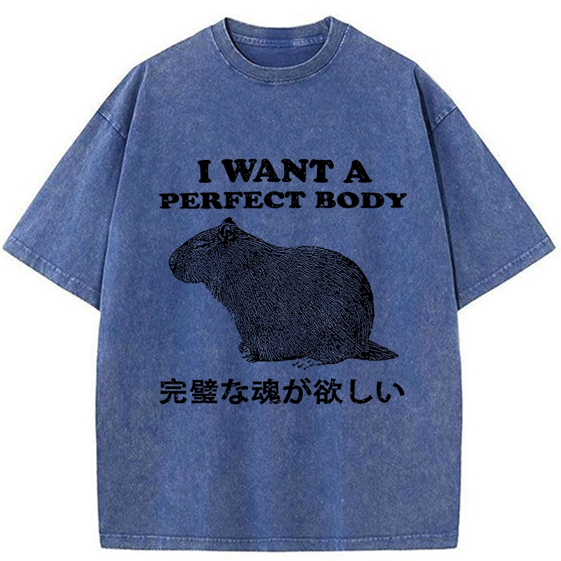 Modecanvas I Want A Perfect Body Washed T-Shirt