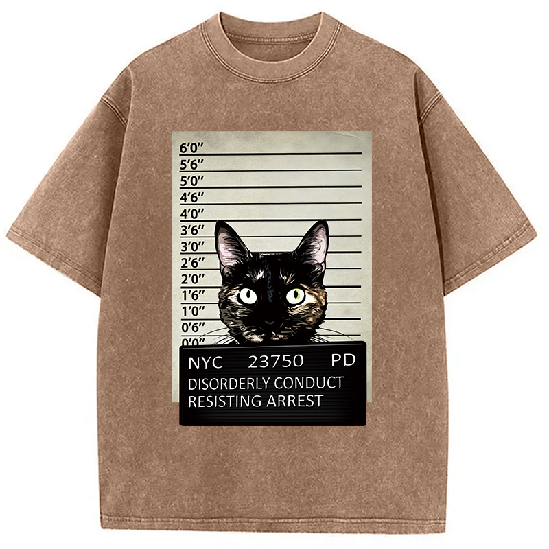 Modecanvas Arrested Black Cat Washed T-Shirt