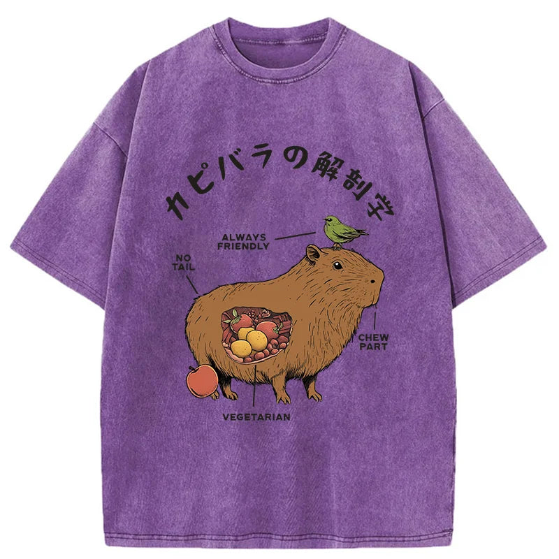 Modecanvas Capybara Anatomy Washed T-Shirt
