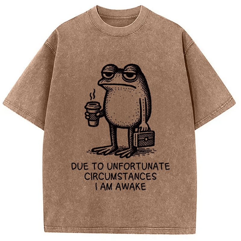 Modecanvas Decadent Frog Washed T-Shirt