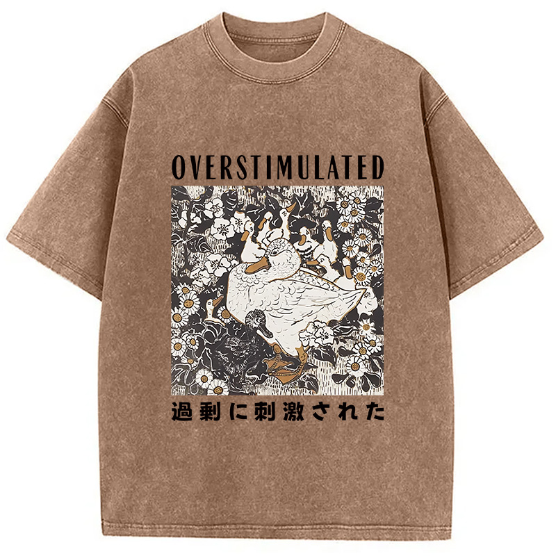 Modecanvas Overthinking Duck Washed T-Shirt
