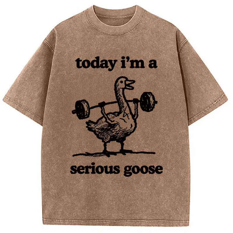 Modecanvas Fitness Goose Washed T-Shirt
