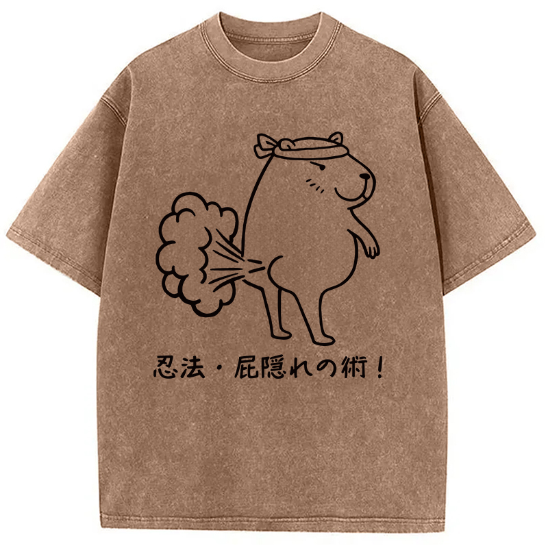 Modecanvas Funny Ninjutsu Fart Hiding Technique Washed T-Shirt
