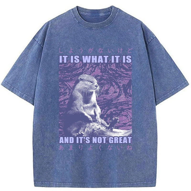Modecanvas Frustrated Otter Japanese Washed T-Shirt