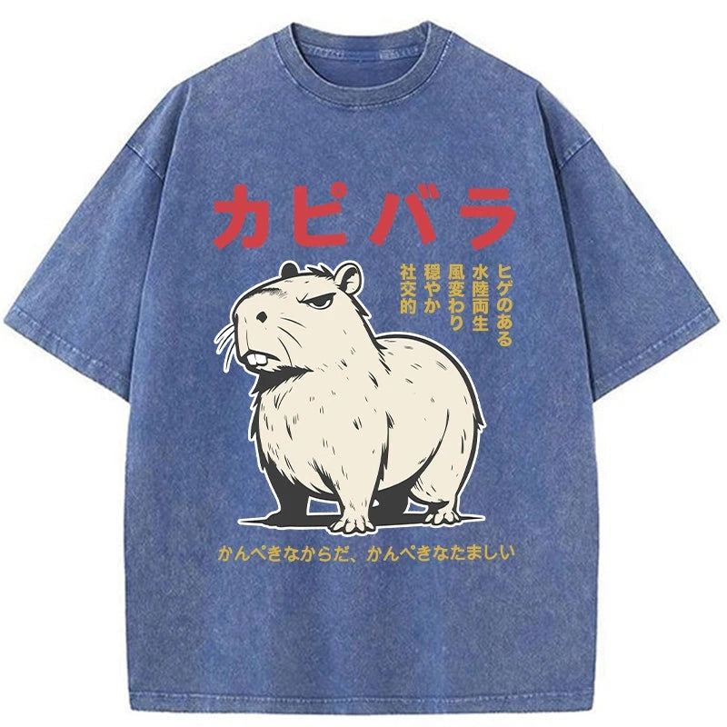 Modecanvas Angry Capybara Japan Washed T-Shirt