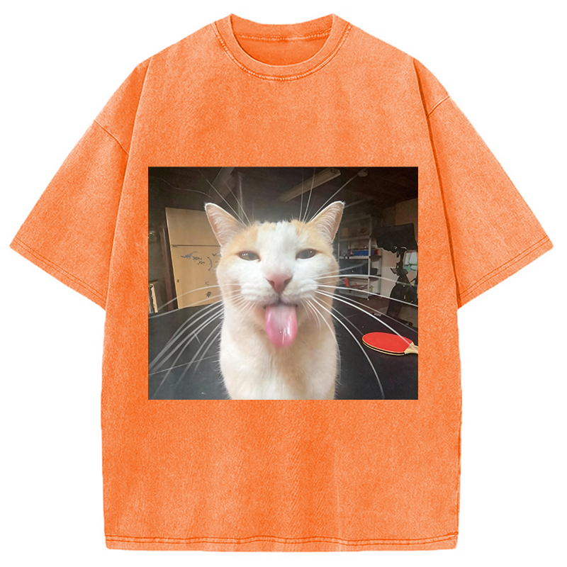 Modecanvas Silly Bleh Funny Cat Meme DTG Printing Washed T-Shirt