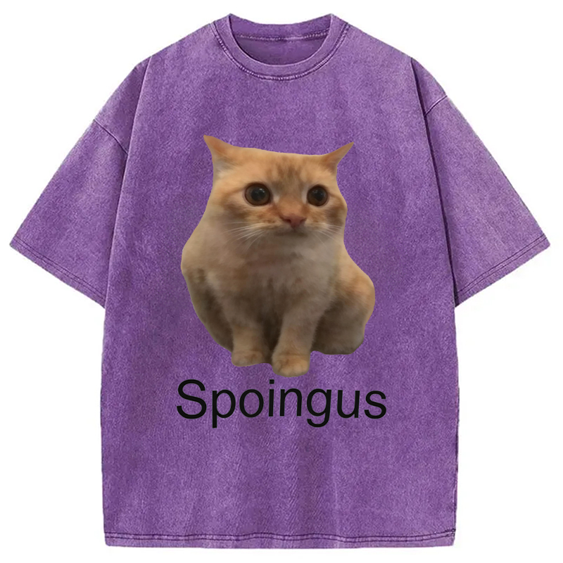 Modecanvas Spoingus The Cat Meme DTG Printing Washed T-Shirt