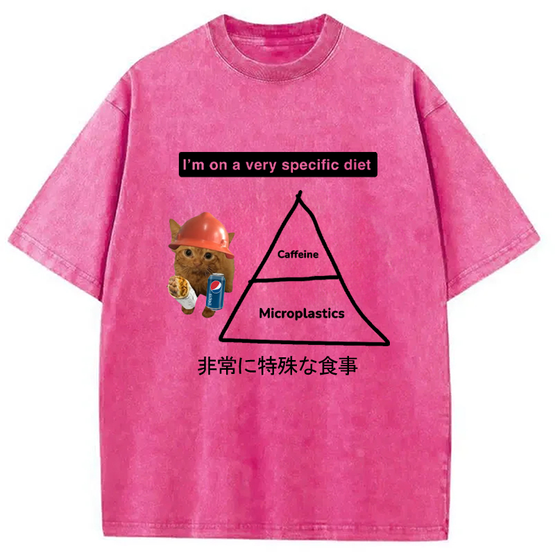 Modecanvas A Very Specific Diet Cat Meme Washed T-Shirt