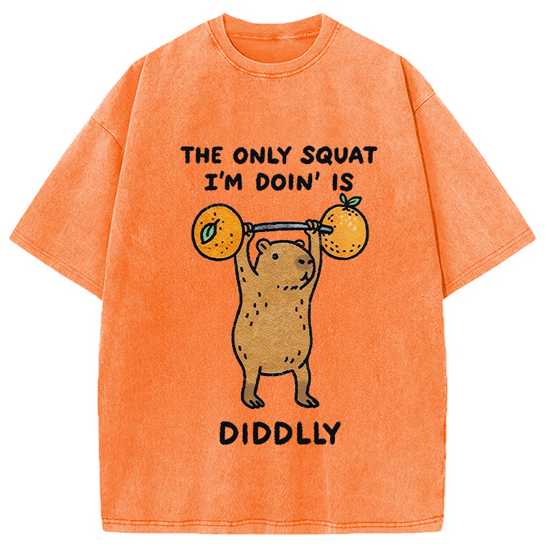 Modecanvas Diddly Capybara Washed T-Shirt