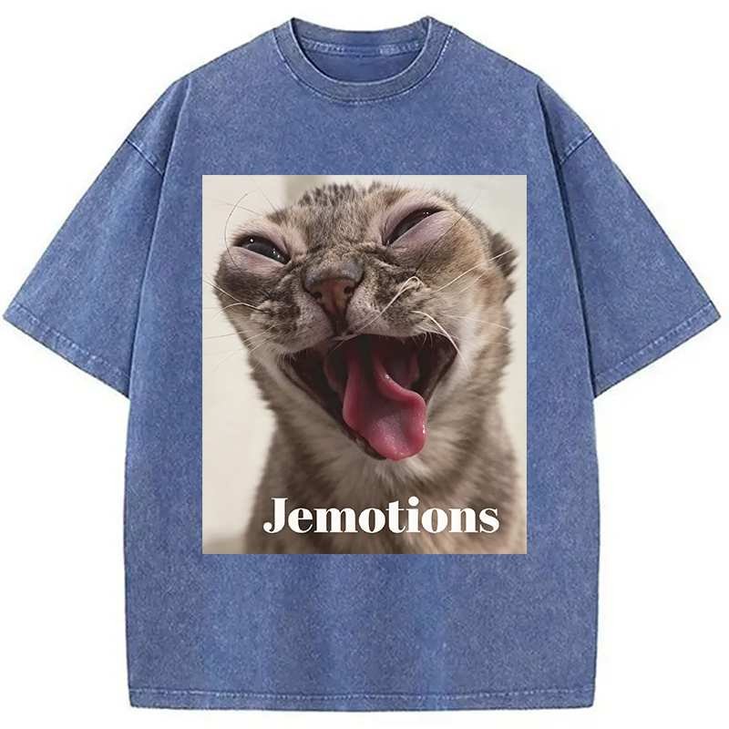 Modecanvas Jemotions Cat Meme DTG Printing Washed T-Shirt