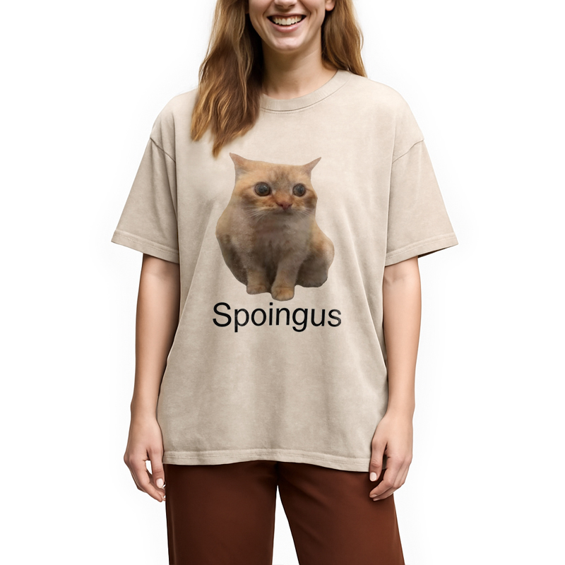 Modecanvas Spoingus The Cat Meme DTG Printing Washed T-Shirt