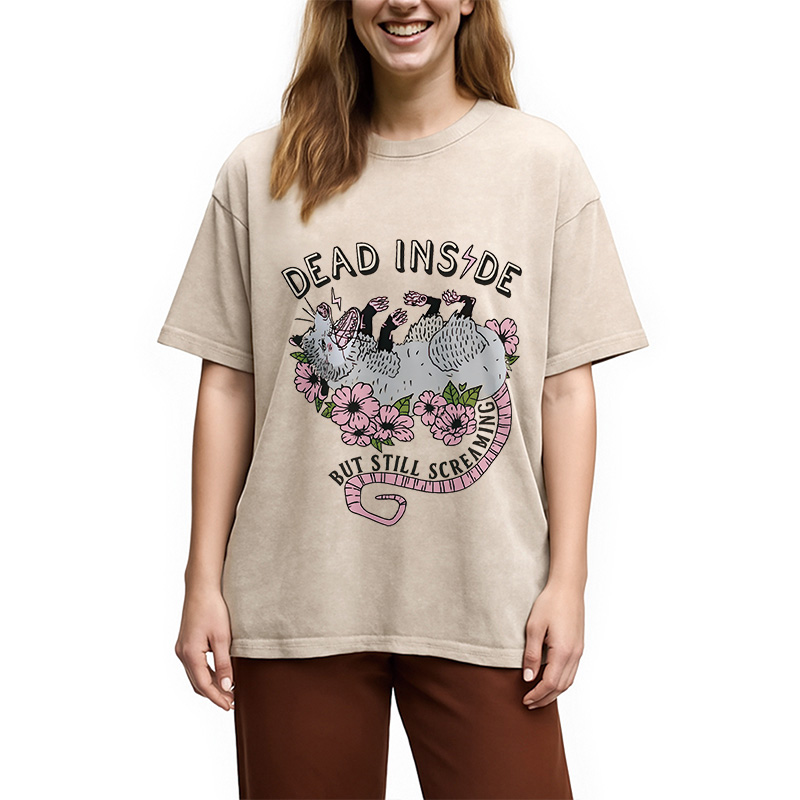 Modecanvas Dead Inside Washed T-Shirt