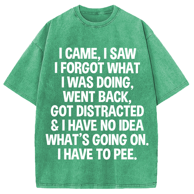 Modecanvas I Came I Saw I Forgot What I Was Doing DTG Printing Washed T-Shirt
