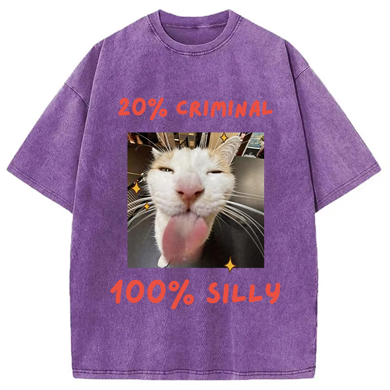 Modecanvas That Silly Cat Meme DTG Printing Washed T-Shirt