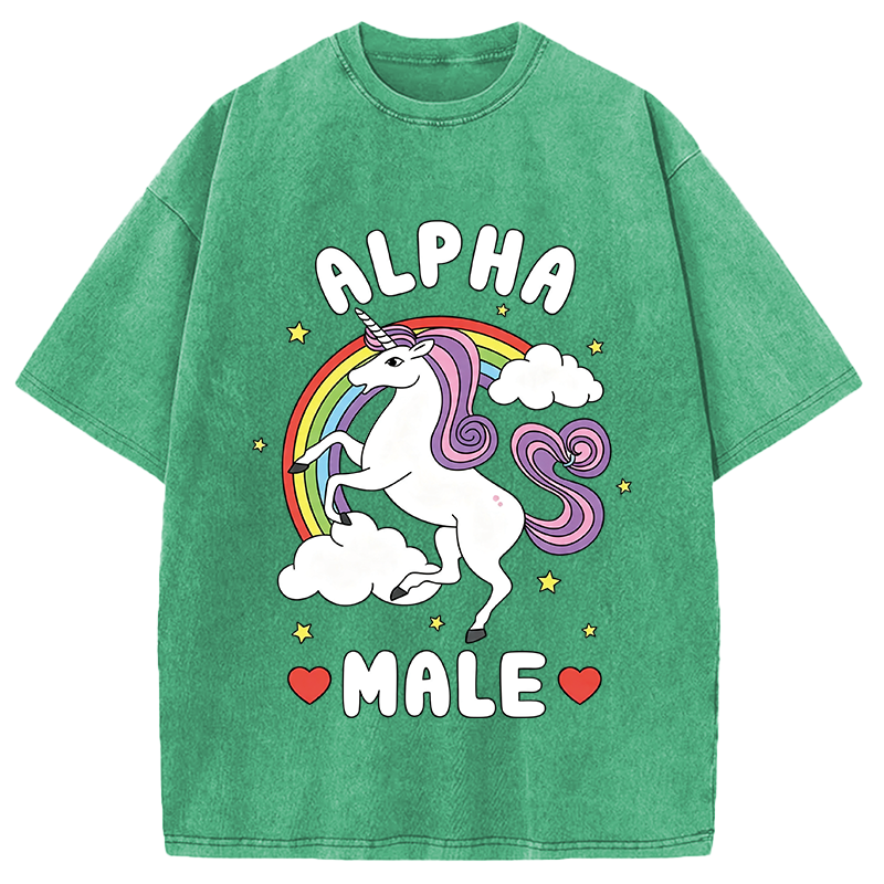 Modecanvas Alpha Male Energy Unicorn DTG Printing Washed T-Shirt