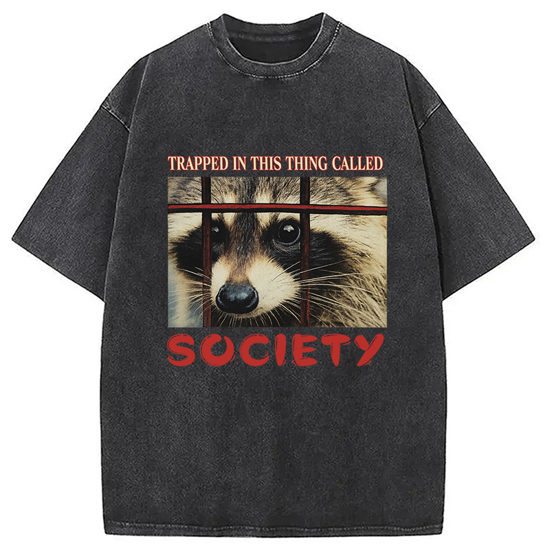 Modecanvas Society Raccoon Washed T-Shirt