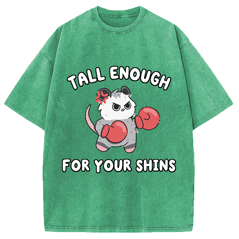 Modecanvas Tall Enough For Your Shins DTG Printing Washed T-Shirt