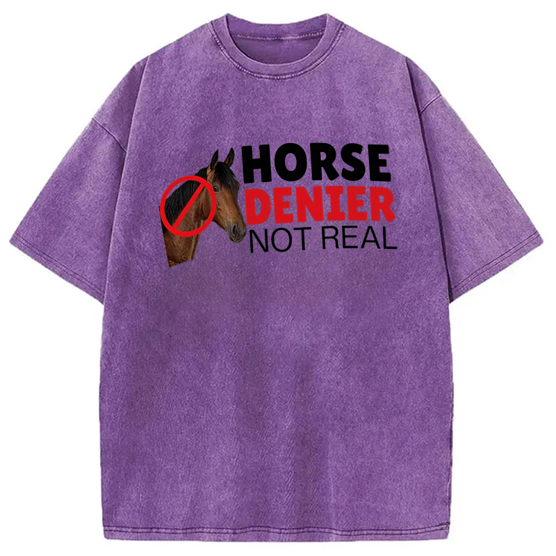 Modecanvas Horse Denier They Are Not Real DTG Printing Washed T-Shirt