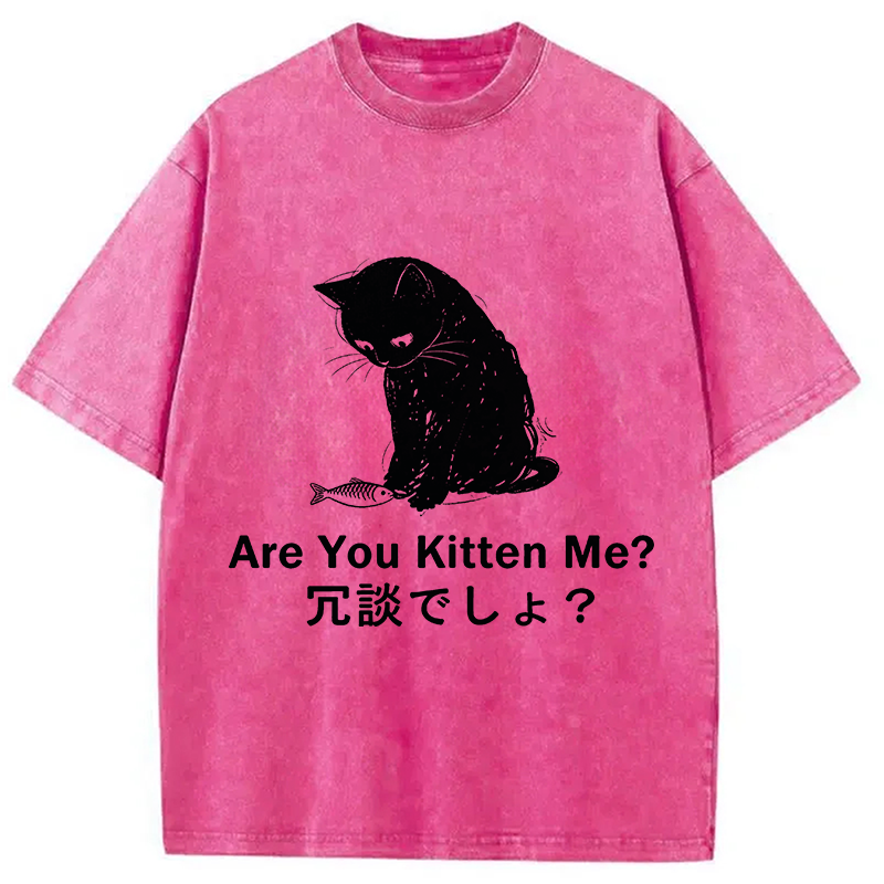 Modecanvas Are You Kitten Me DTG Printing Washed T-Shirt