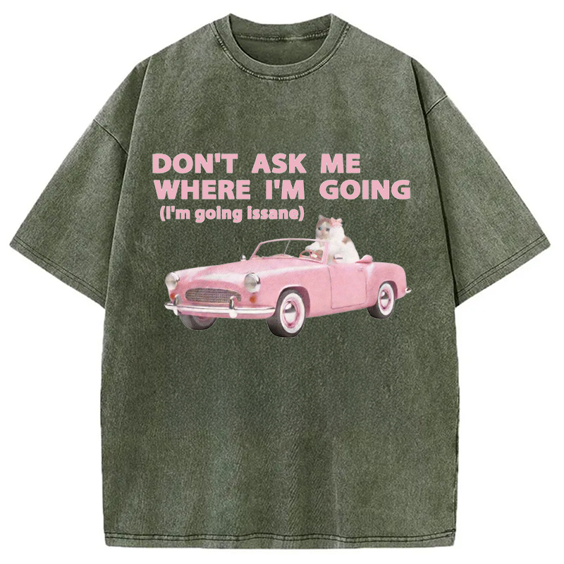 Modecanvas Im Going Insane Cat Meme DTG Printing Washed T-Shirt