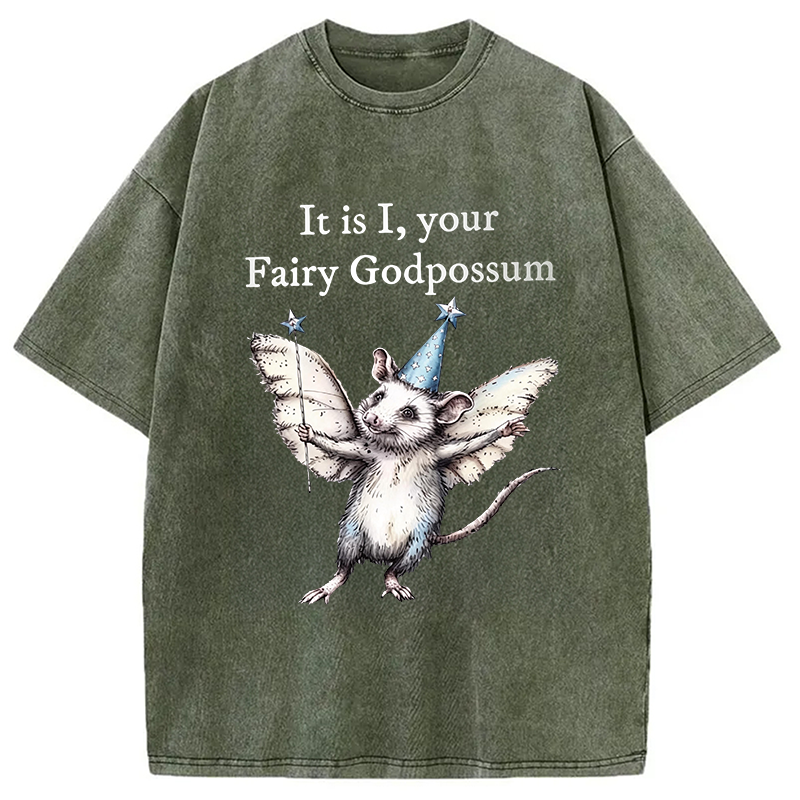 Modecanvas It Is I, Your Fairy Godpossum DTG Printing Washed T-Shirt