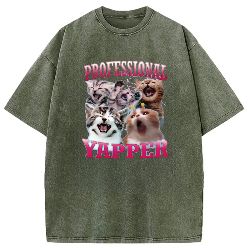 Modecanvas Professional Yapper Cat Washed T-Shirt