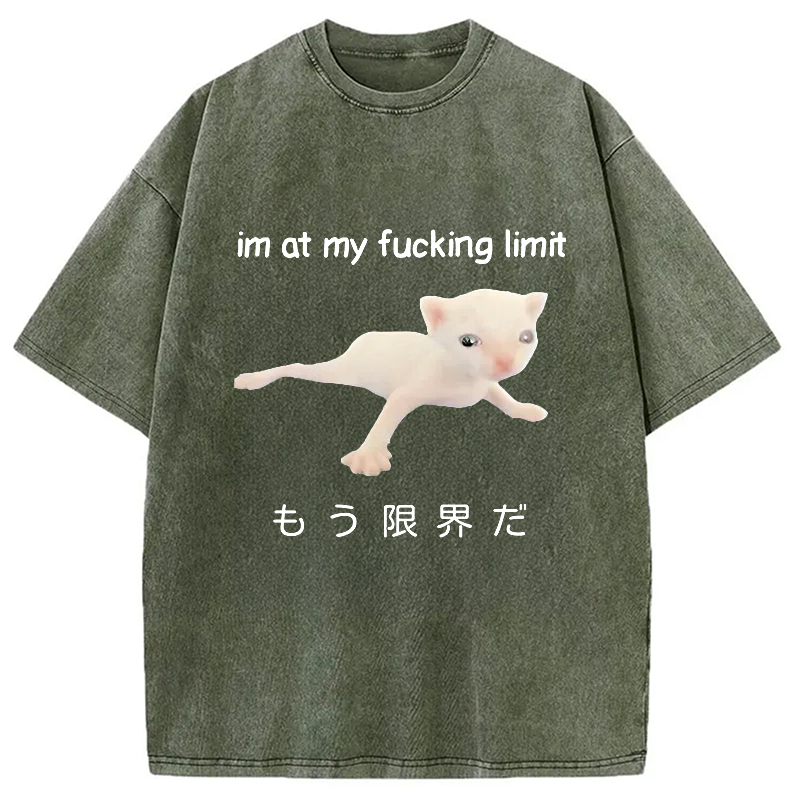 Modecanvas Cat Reaching Its Limit Washed T-Shirt-modecanvas
