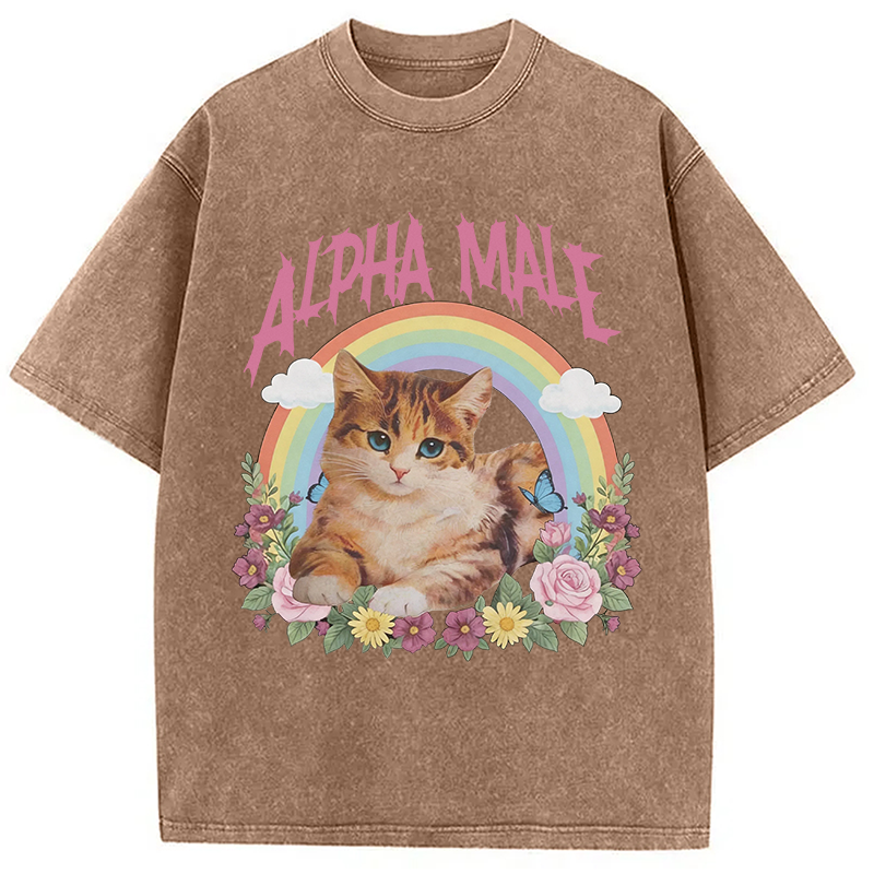 Modecanvas Alpha Male Funny Kitten Meme DTG Printing Washed T-Shirt