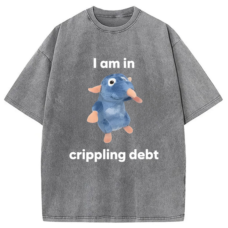 Modecanvas I Am in Crippling Debt Washed T-Shirt