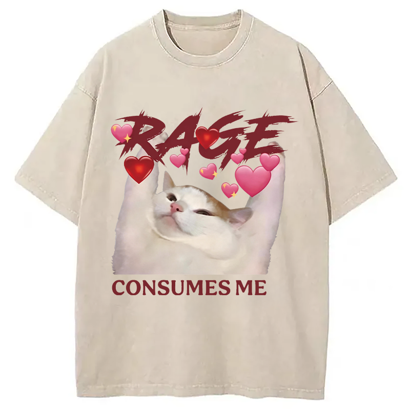 Modecanvas Rage Consumes Me Funny Cat Meme DTG Printing Washed T-Shirt